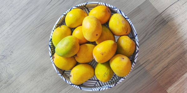 চীনে প্রায় ৫০ মেট্রিক টন আম রফতানি করবে বাংলাদেশ: কৃষি সচিব